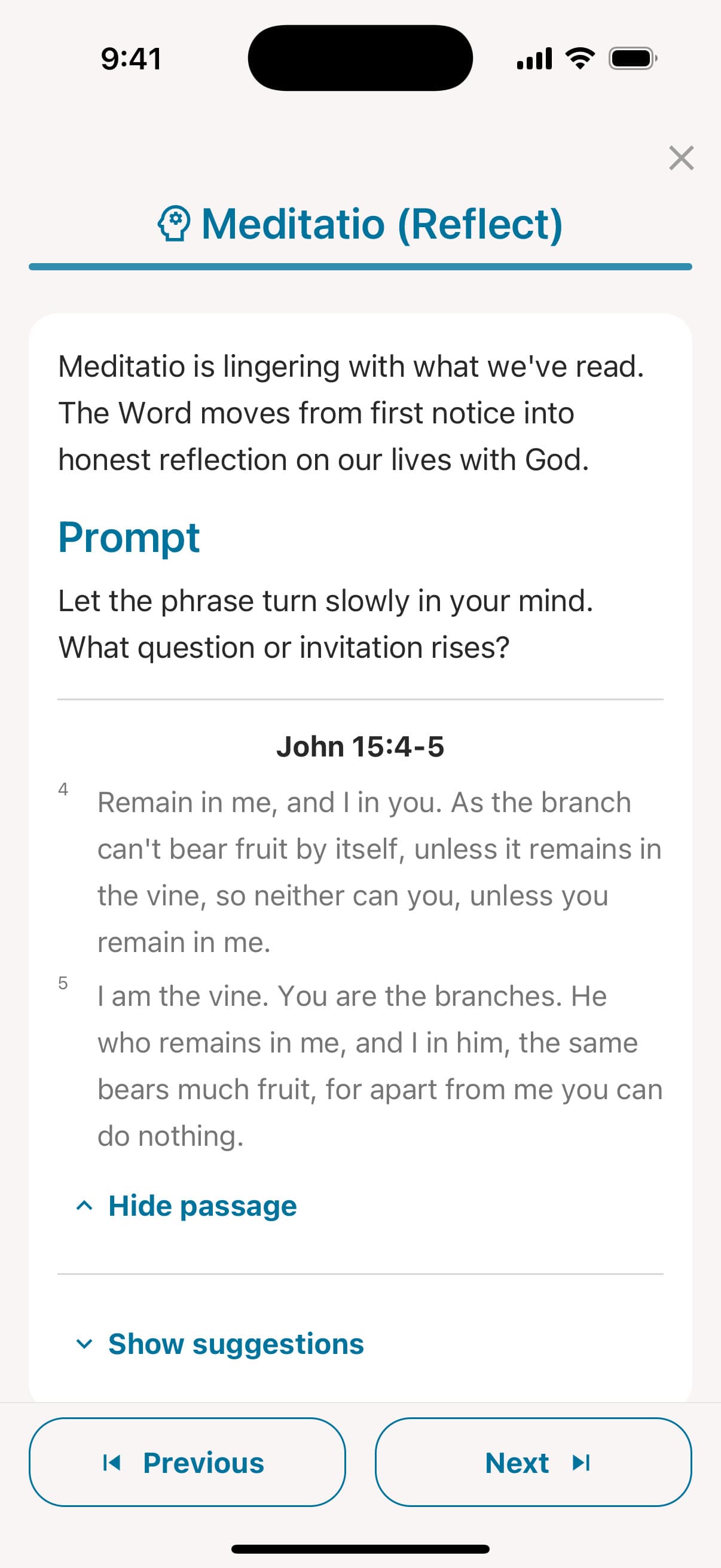 Lectio Divina on the reflection step with John 15:4-5